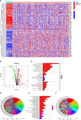 Characteristics of Fatty Acid Metabolism in Lung Adenocarcinoma to Guide Clinical Treatment